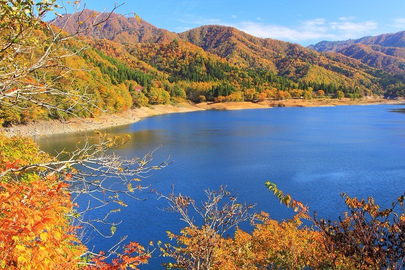 九頭竜紅葉まつり 精進料理の心息づく豆腐創作料理レストラン 永平寺 禅とうふの郷 幸家 さちや